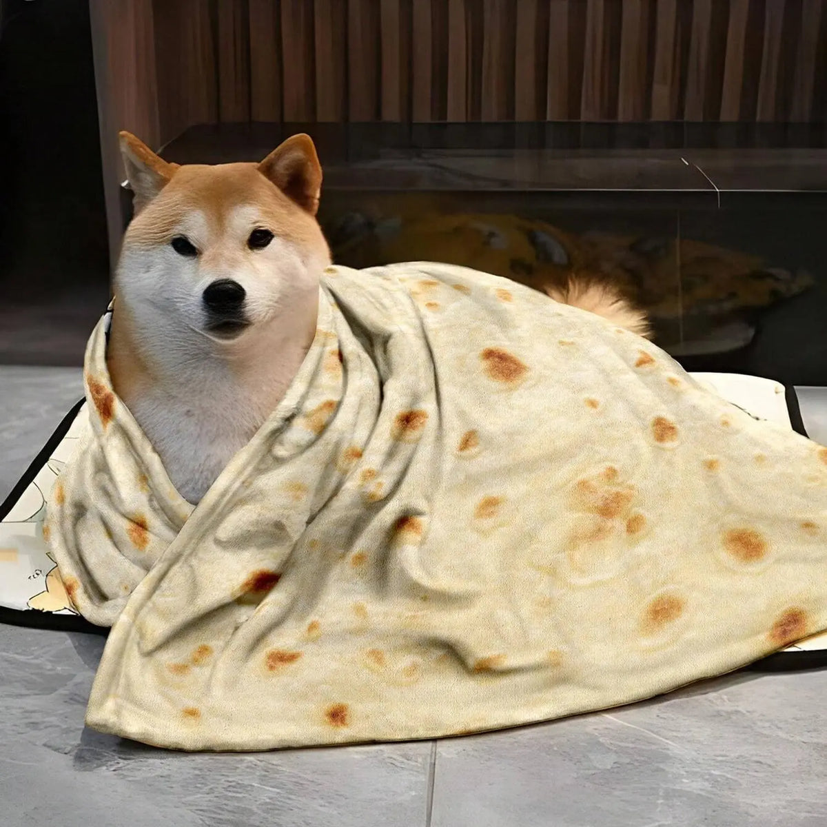 Funny & Realistic Print Flannel Cozy Throw Blanket, Omelette, Cookie, Burrito, Pizza, Waffle Patterns, Size Optional, Perfect Gift, All-Season Use, Comfy Blankets, Flannel Printed Blanket
